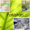 Pakistan mix book - Education Photo Book