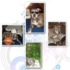 Konan...! - Nature Photo Book