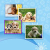 dog - Nature Photo Book