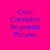 CCR Concert - Friends Photo Book