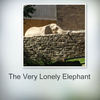 The Lonely Elephant - Photo Book