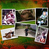family and friends - Photo Book