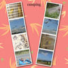 camping - Nature Photo Book