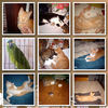 My babies - Nature Photo Book