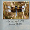 Life on Coyote Hill Summer 2008 - Nature Photo Book
