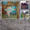aura`s book - Holiday Photo Book