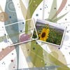美食 - Travel Photo Book