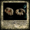 The Conduct of Life - Education Photo Book
