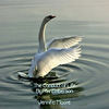 The Conduct of Life - Education Photo Book