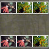 The Adventures of My Life - Photo Book