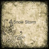 Snow Storm - Family Photo Book