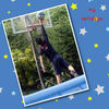 My holidays 2 - Holiday Photo Book
