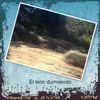 animales de zoologicos - Nature Photo Book