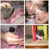 My BPFL - Pets Photo Book