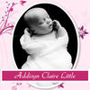 Addi's First Year - Baby Photo Book