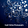 Portfolio - Interests Photo Book