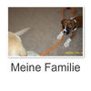 Meine famileia - Family Photo Book