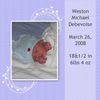 Westons First Year - Baby Photo Book