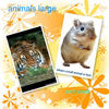 animals large and small!!!!!!!!! - Pets Photo Book