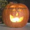 the missing pupkin - Stories Photo Book