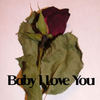 Baby I Love You! - Baby Photo Book