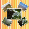 Biome Matter - Stories Photo Book