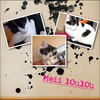 meii lOùlOù - Pets Photo Book