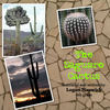Saguaro Cactus - Nature Photo Book
