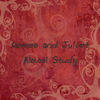Romeo and Juliet - Education Photo Book