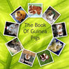 Guinea Pigs - Pets Photo Book