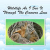 Wildlife As I See It Through the Camera Lens - Nature Photo Book