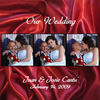 February 14, 2009 - Wedding Photo Book