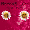 Romeo and Juliet Awnsers - Education Photo Book