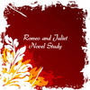 Romeo and Juliet Novel Study  - Education Photo Book