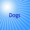 * Dogs * - Pets Photo Book