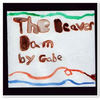 The Beaver Dam - Nature Photo Book
