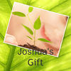 Joshua's Gift - Nature Photo Book