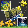 Technology in Motion - Education Photo Book