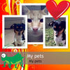My pets - Photo Book