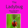 The  lady bugs - Nature Photo Book