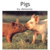 Pigs - Pets Photo Book