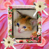 Callie Marie's Baby Book - Pets Photo Book