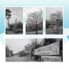 Blank Canvas Theme - Travel Photo Book