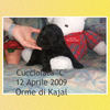Cucciolata B - 12 Aprile 2009  - Pets Photo Book