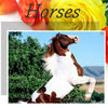  Beautiful Horses - Pets Photo Book