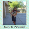 Trying to Walk Sadie - Pets Photo Book