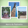 flores - Nature Photo Book