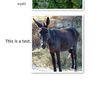test slideshow - Education Photo Book