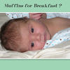Muffins for Breakfast - Family Photo Book