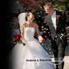 Our Wedding 2.0 - Simple Wedding - Wedding Photo Book
